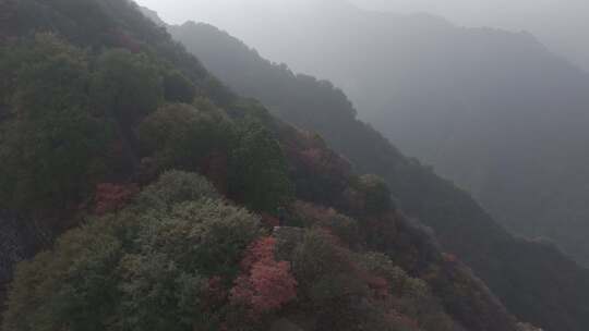 秋季壮美山河红叶