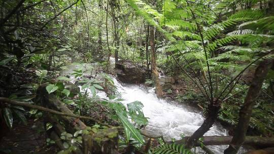 山林美景溪水