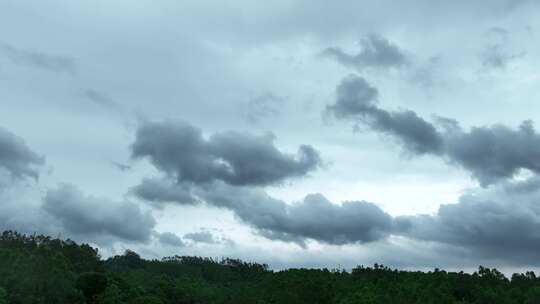 阴天森林乌云飘过树林阴雨天森林大景松树林