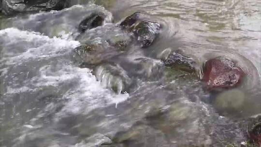 从鹅卵石上流过的肮脏小溪视频素材模板下载