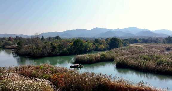 中国杭州西溪湿地秋日美景