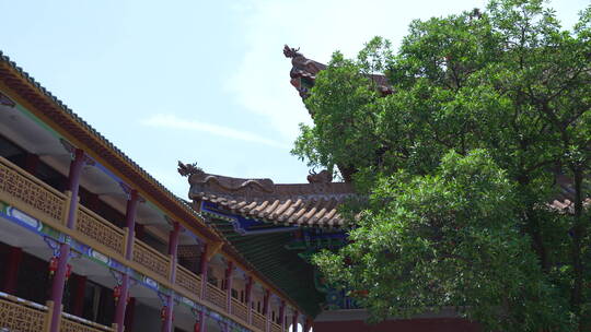 武汉洪山区宝通禅寺皇家寺院