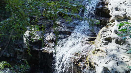 禅意意境 古风空镜 大自然禅意空镜