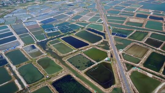 直升机农场模式种植园虾盐生产最佳越南景观