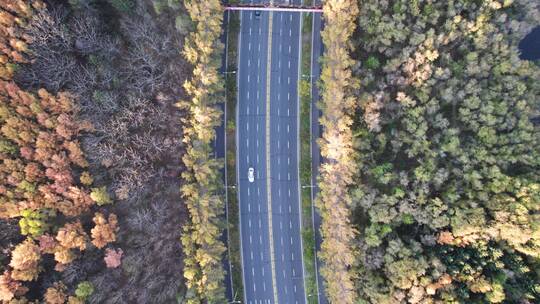 东北秋季公路风景航拍视频素材模板下载