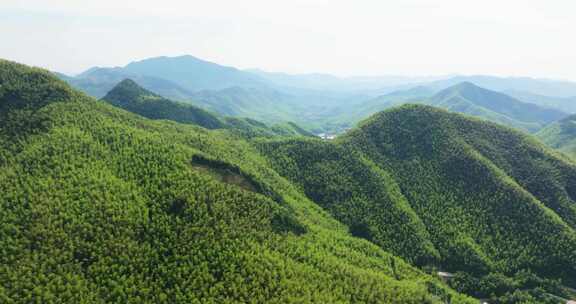 江南群山竹山竹海浙江湖州安吉风光