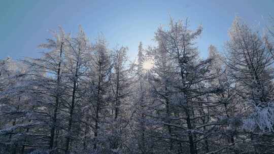 雾凇 冰挂 大雪阳光视频素材模板下载