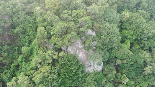 航拍福建泉州清源山5A景区