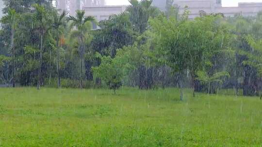 户外下雨视频