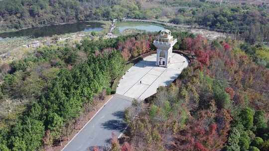 武汉江汉区藏龙岛湿地公园航拍