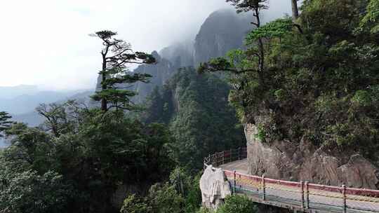 中国湖南省郴州市宜章县莽山五指峰景区