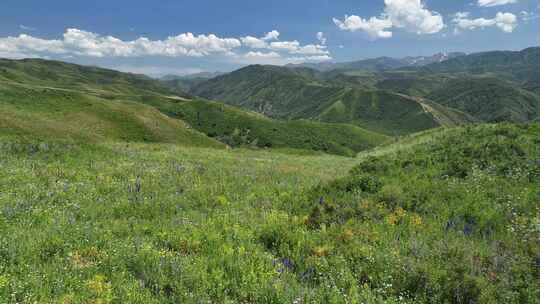 新疆塔城裕民县塔斯特草原风景区航拍风光