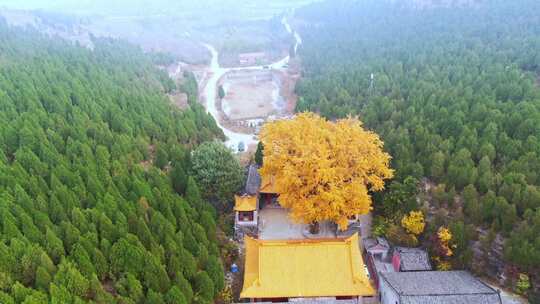 山东济南淌豆寺秋天航拍寺庙