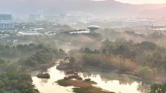 杭州秋天 西溪湿地 手摇船 湿地博物馆