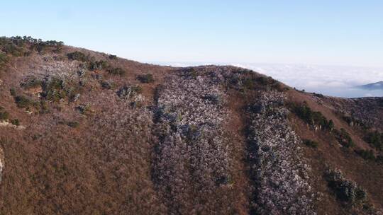 群山浩渺  山 安吉龙王山 龙王山 安吉视频素材模板下载