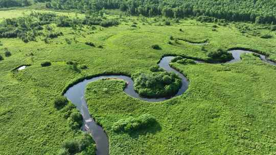 航拍森林湿地曲折的河湾