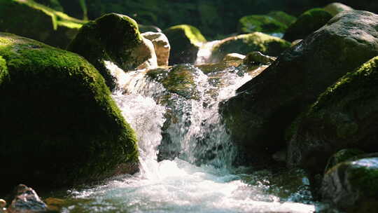 森林溪水流水花清澈山泉青苔藓小溪泉水