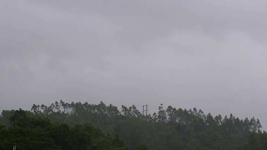 阴天森林乌云飘过树林阴雨天森林大景松树林