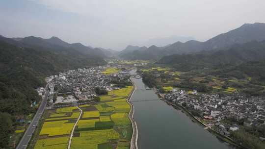 油菜花开 宣城市绩溪县龙川风光航拍素材