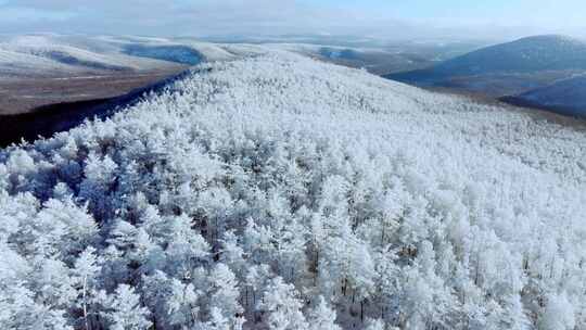 航拍大兴安岭冬日梦幻绝美雾凇雪凇