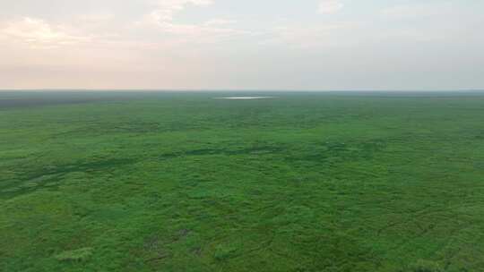 鄱阳湖风景航拍湖泊湿地公园草地河流风光