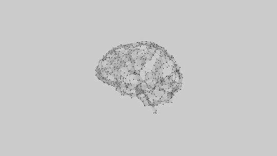 医学 大脑 脑科学 三维 脑ct1 模型