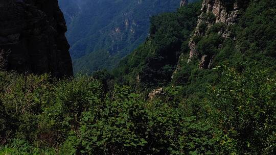 白云飘飞的险峰绝壁处，一块神奇的飞来石