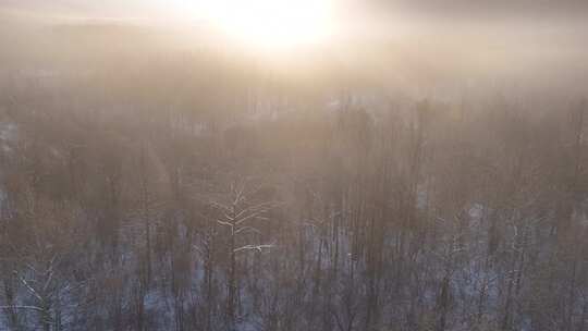 曙光照耀冻雾迷漫的林海雪原