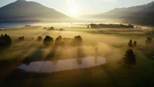 奥地利，风景，雾，树木