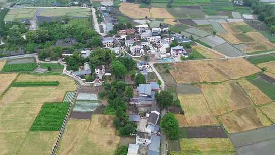 四川广汉平原土地乡村