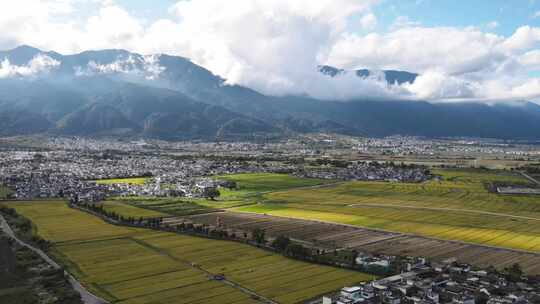 航拍喜洲稻田与苍山洱海