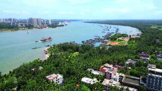 航拍海南省文昌市东郊椰林椰树风景