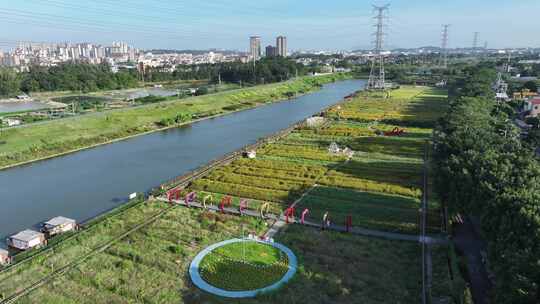 中国广东省佛山市三水区白坭镇七彩花田