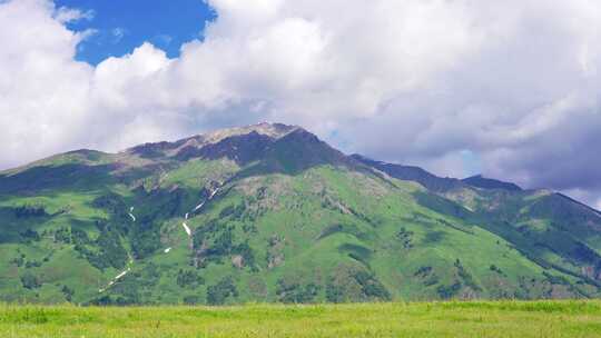 新疆北疆阿勒泰禾木村夏天高山草原自然风景