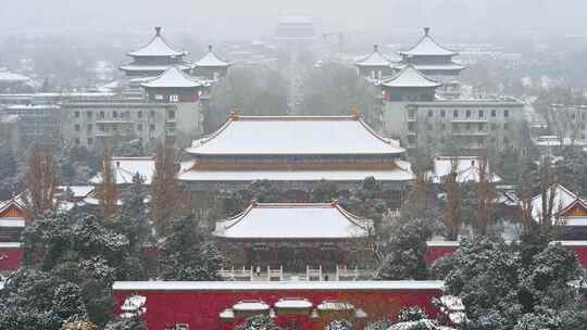 北京景山公园冬季下雪天风光视频素材模板下载
