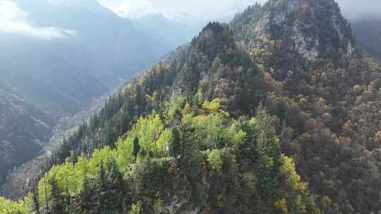 青海互助北山秋景雪山云雾航拍视频