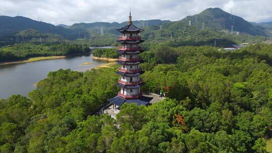 深圳坪山泰和塔 (6)