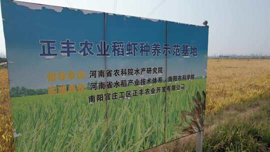 稻米水稻农田耕地种植基地正丰告示牌上升