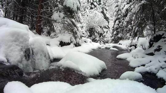 4K-白雪覆盖的森林中的河流