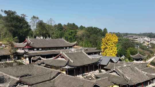 重庆天心寺银杏航拍