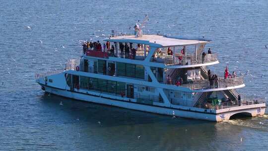 航拍滇池游船与海鸥