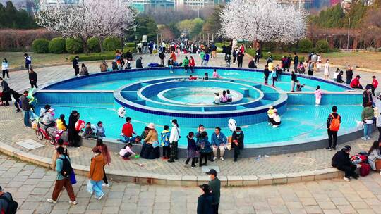 劳动公园初春欣赏樱花桃花素材
