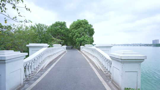 武汉江夏区藏龙岛国家湿地公园