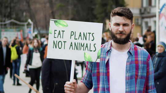 不要吃肉抗议素食横幅动物权利标语牌停止虐