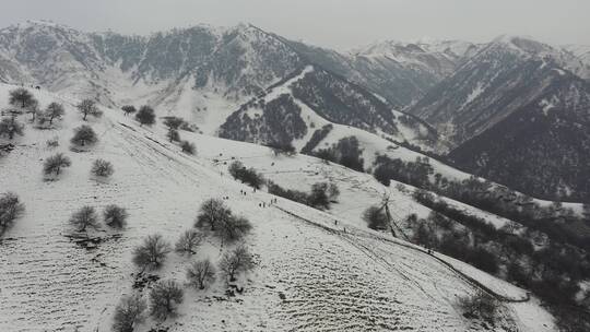 吐尔根杏花沟雪景DJI_0410