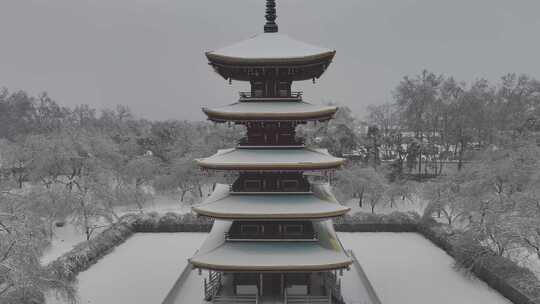 武汉东湖樱园雪景视频素材模板下载