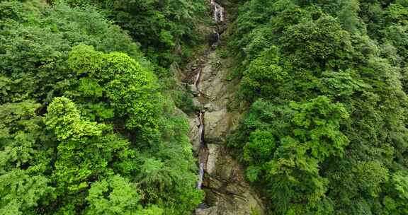 航拍都江堰龙池自然保护区瀑布山林风景