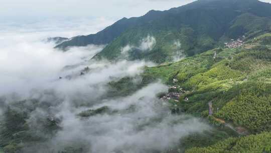 自然风景山区清晨云海翻腾直录4K航拍唯美