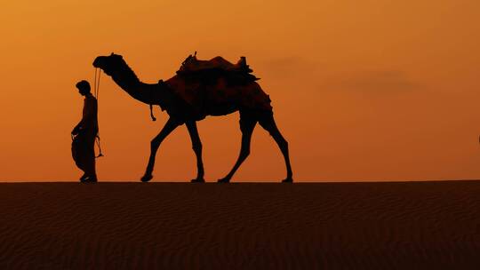 夕阳下的骆驼队一带一路茶马古道丝绸之路视频素材模板下载