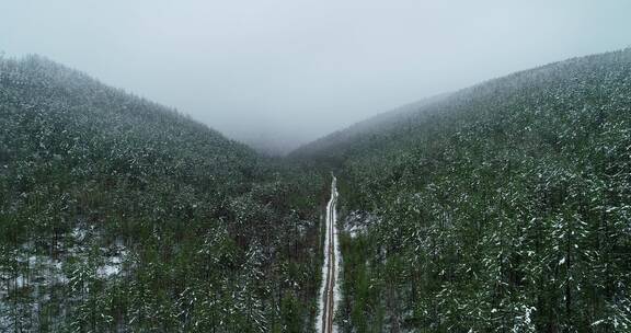 航拍大兴安岭降雪中的森林公路